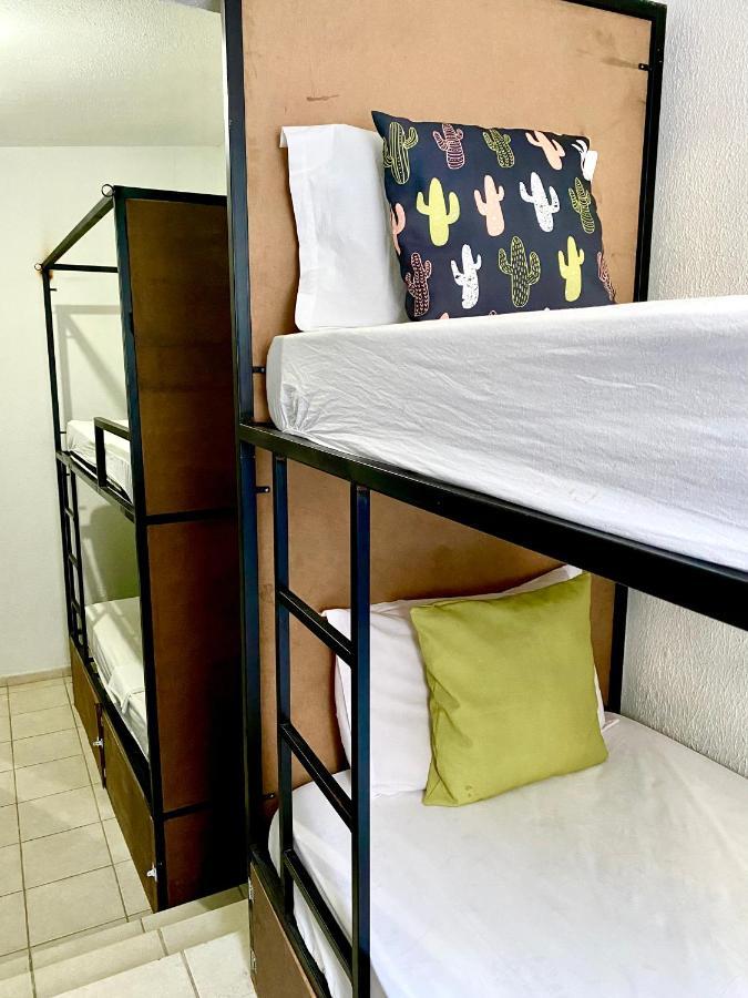 Pousada E Hostel Pernambucana Recife Exteriér fotografie